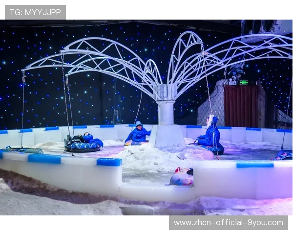 冬季赛事推广计划助力冰雪运动普及化，冬季冰雪项目